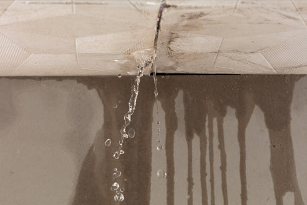 Professional Water Damage Repair technician working in Kenilworth, IL